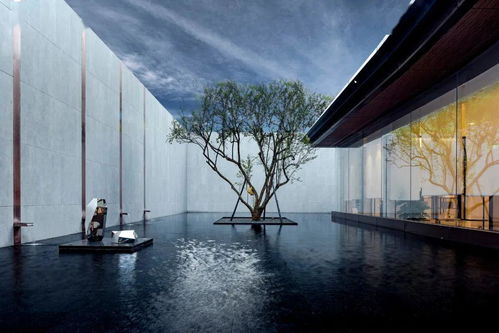 5月全國19個地產景觀項目合集 景觀周發布